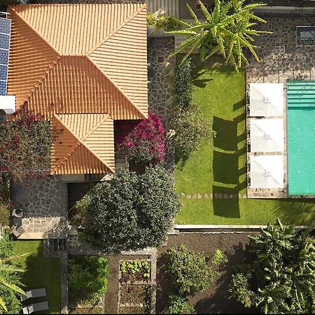 Bordal Houses Funchal Dış mekan fotoğraf