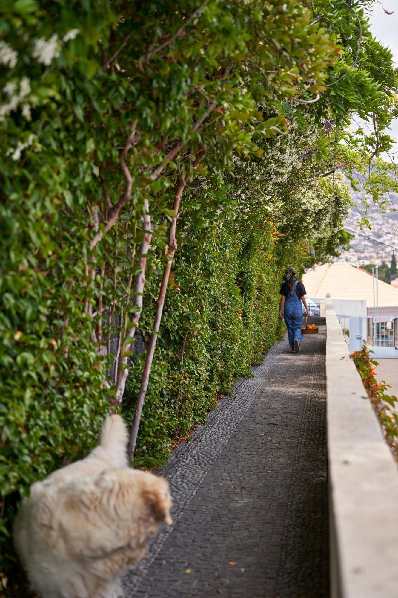 Bordal Houses Funchal Dış mekan fotoğraf