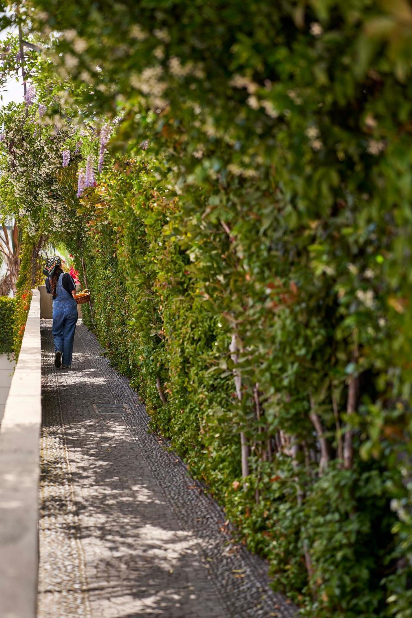 Bordal Houses Funchal Dış mekan fotoğraf