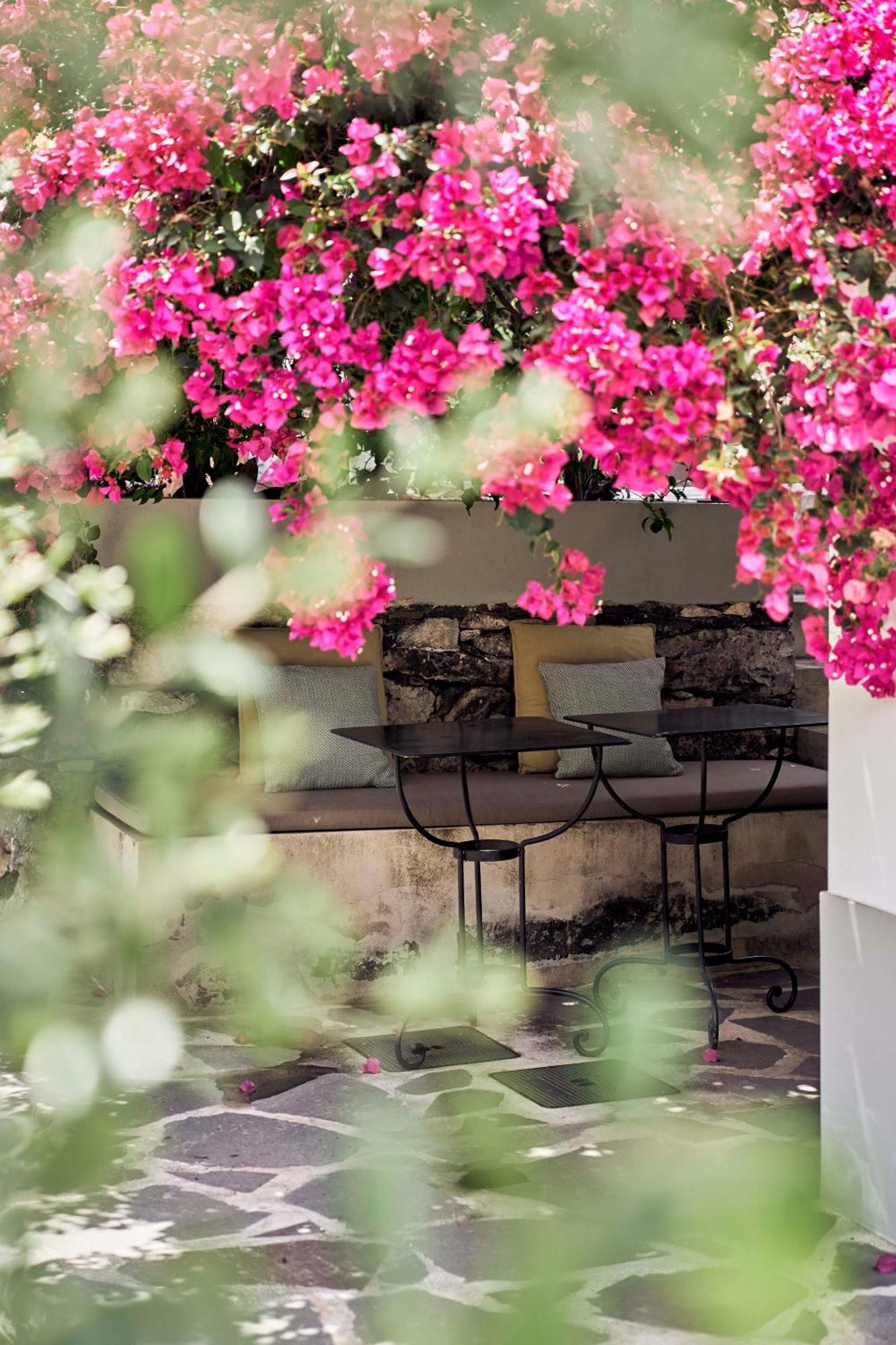 Bordal Houses Funchal Dış mekan fotoğraf