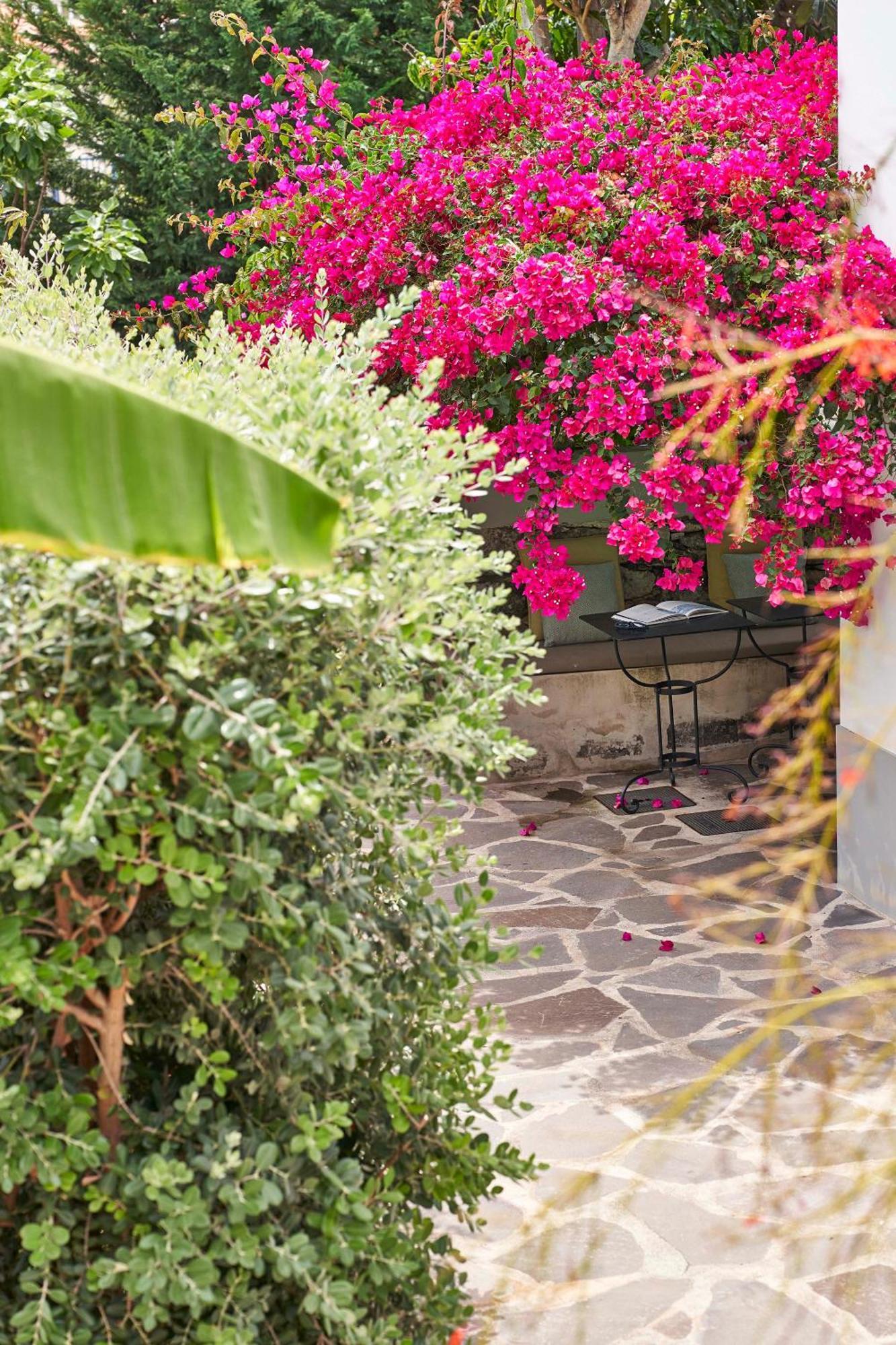 Bordal Houses Funchal Dış mekan fotoğraf